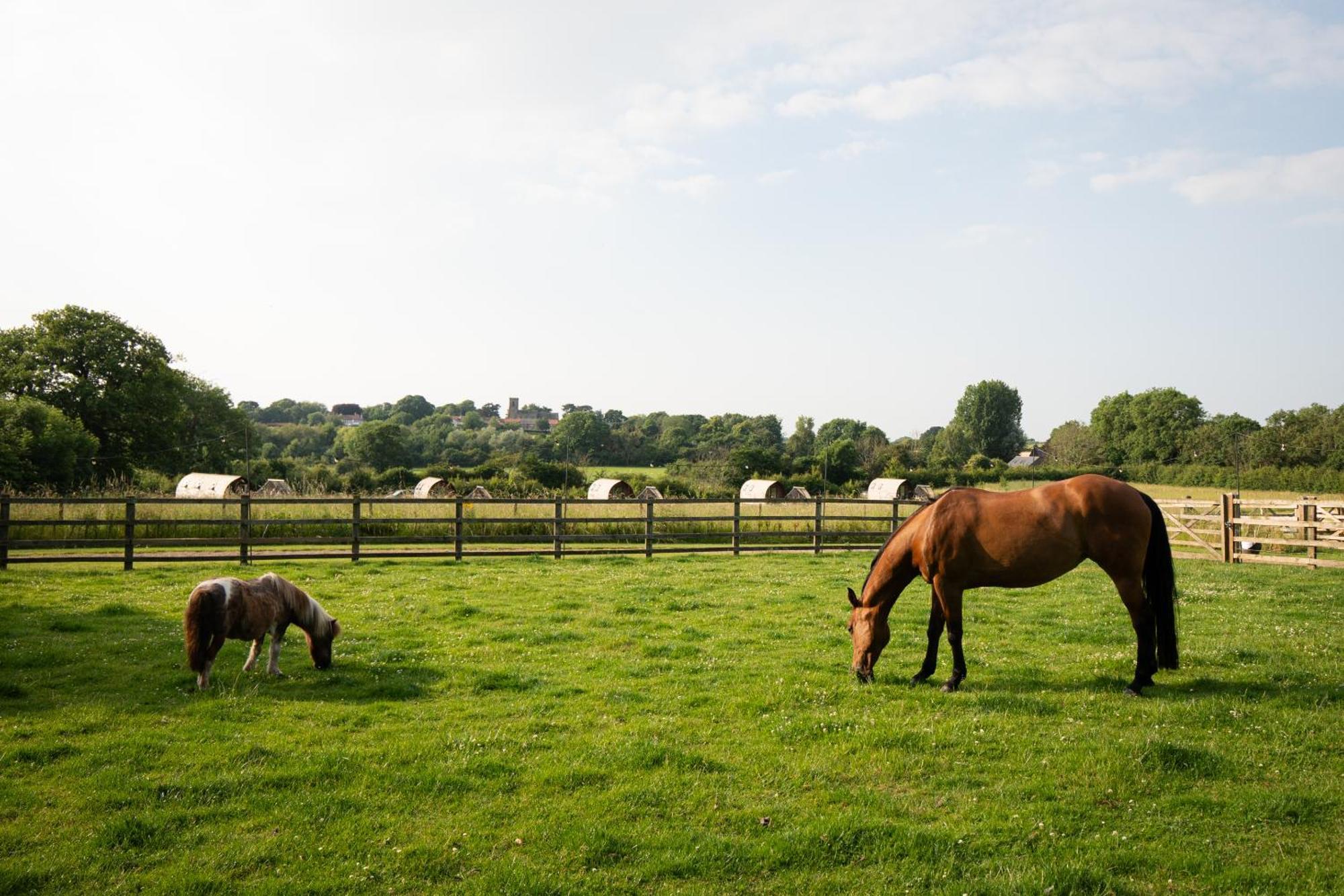 Sedgewell Barn By Wigwam Holidays Northallerton Exteriör bild