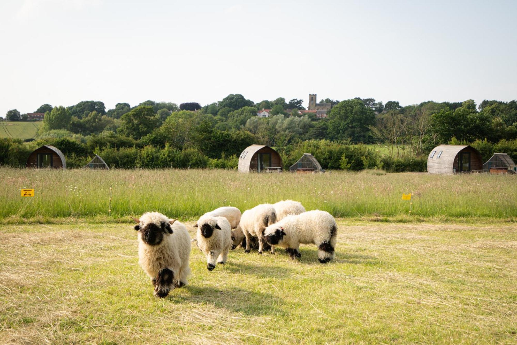 Sedgewell Barn By Wigwam Holidays Northallerton Exteriör bild